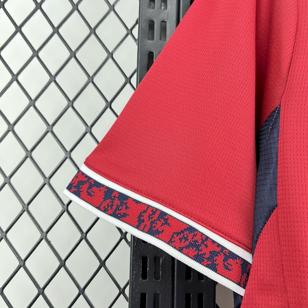 Czech Republic 2026 - World Cup Home
