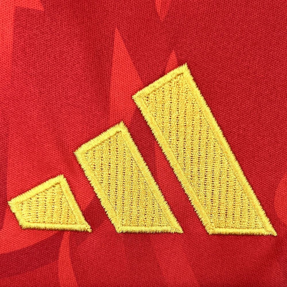 Belgium 2026 - World Cup Home