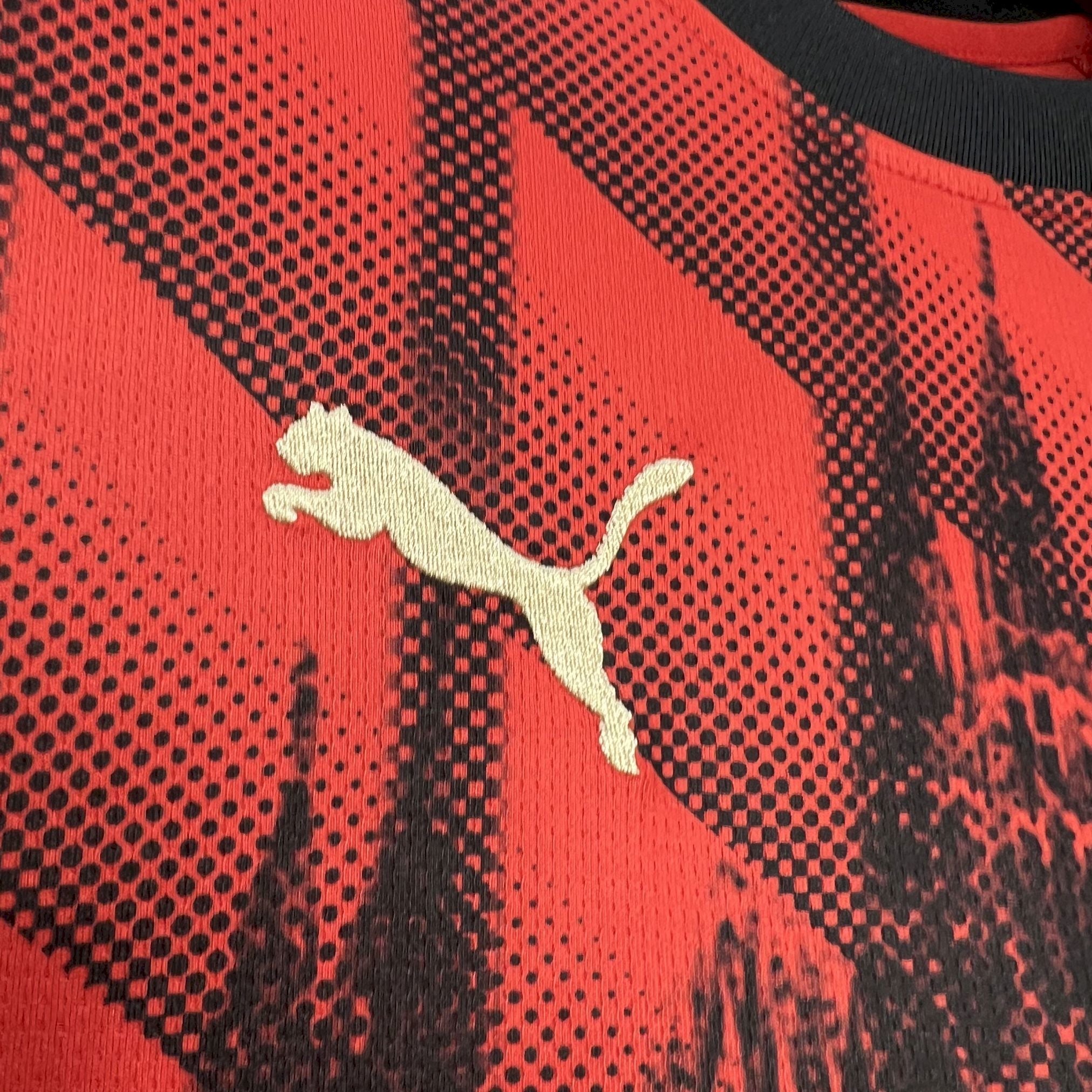 AC Milan 2024-25 Cathedral Special Edition Jersey S-XXXXL S-XXL