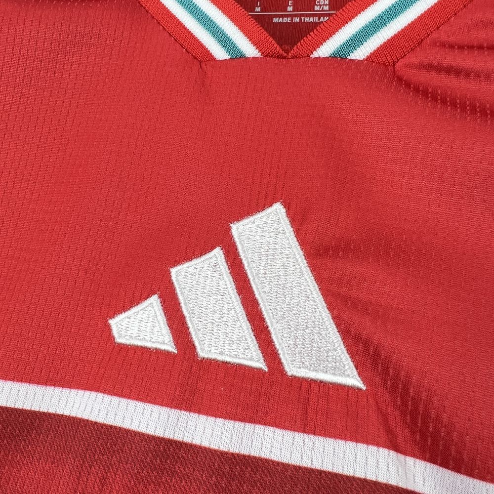 Wales 2026 - World Cup Home