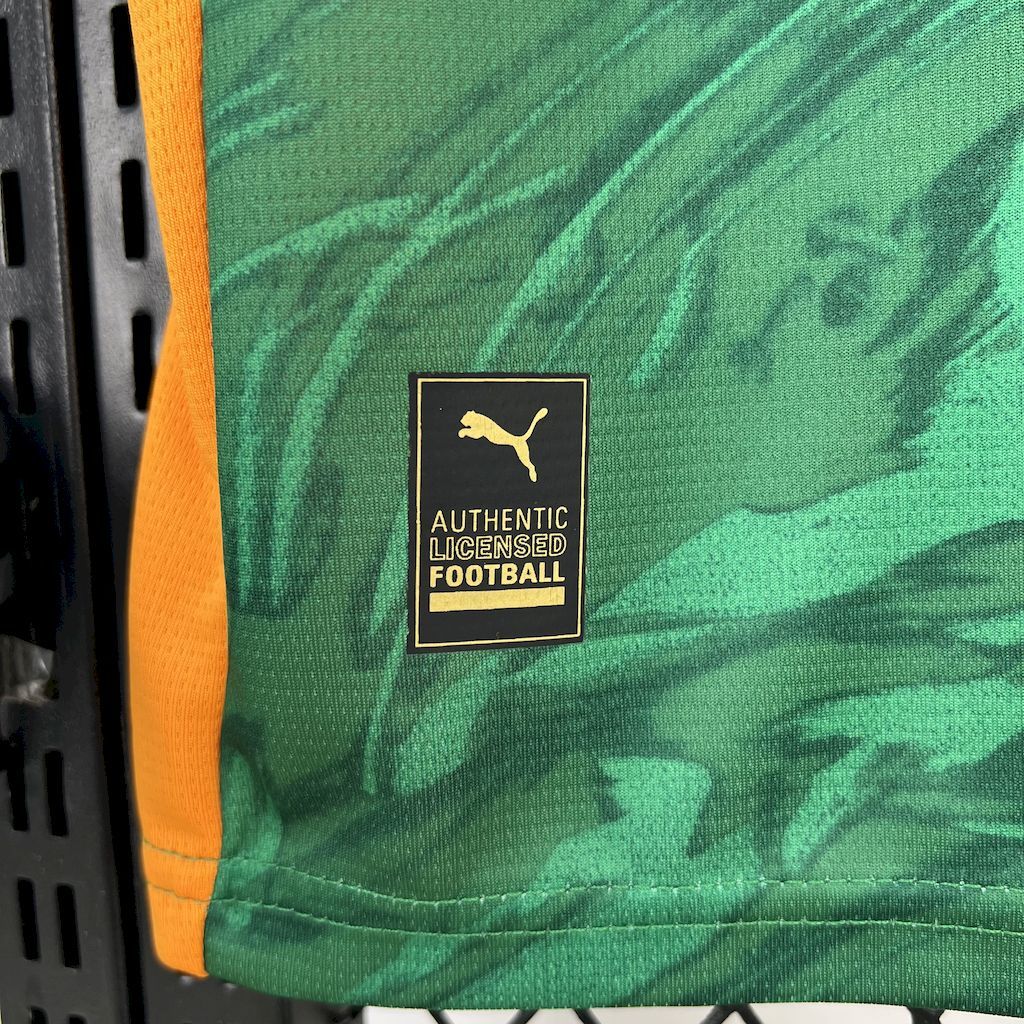 Borussia Dortmund 2024-25 Goalkeeper Green Football Jersey S-XXL
