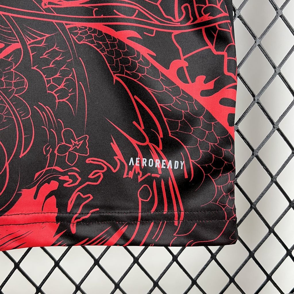 Fortuna Düsseldorf 2024-25 Special Edition Red Football Jersey S-XXL