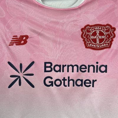 Bayer 04 Leverkusen 2025-26 Away Football Jersey S-XXL