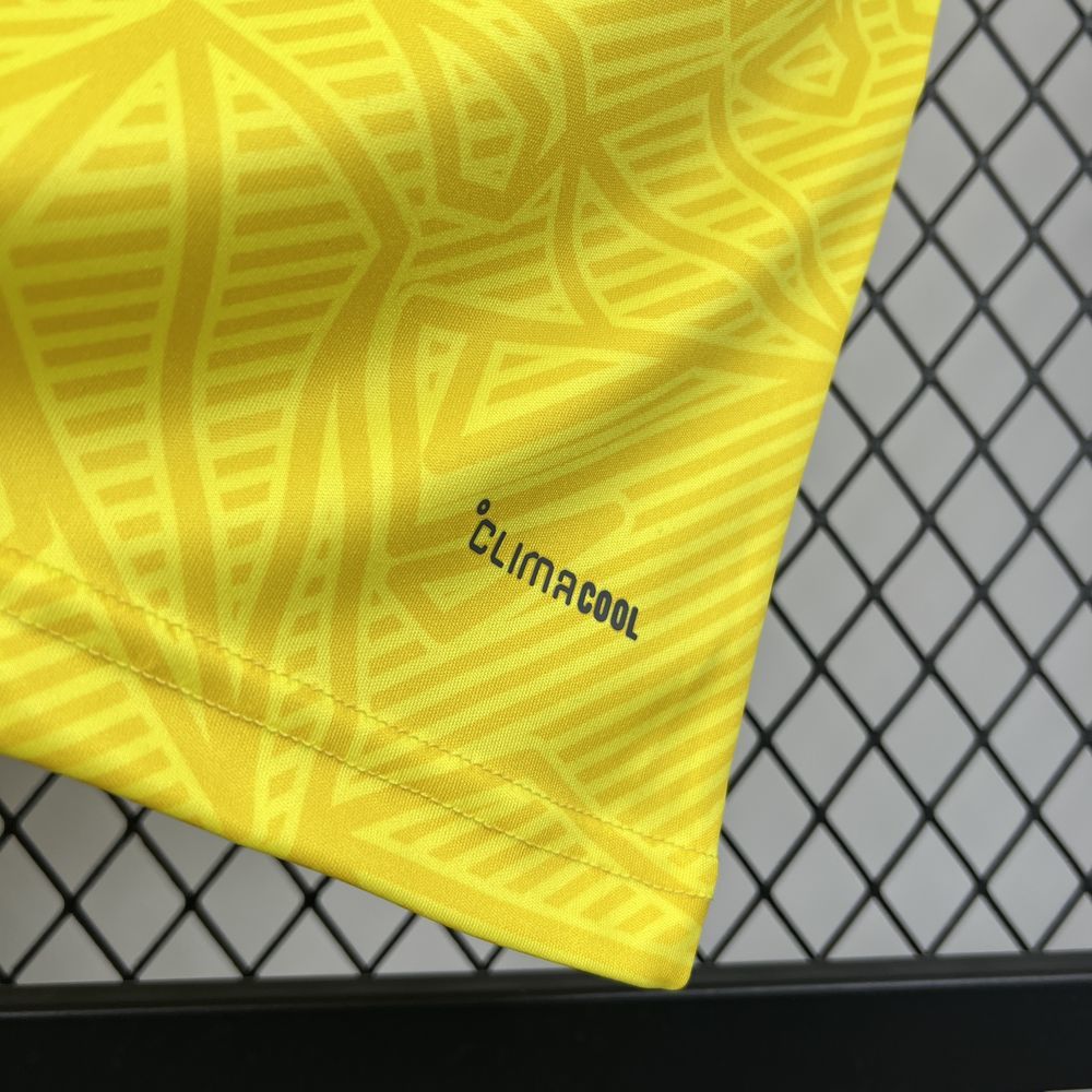 Ukraine 2026 - World Cup Home