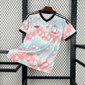 Belgium 2026 - World Cup Away