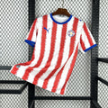 Paraguay 2026 - World Cup Home