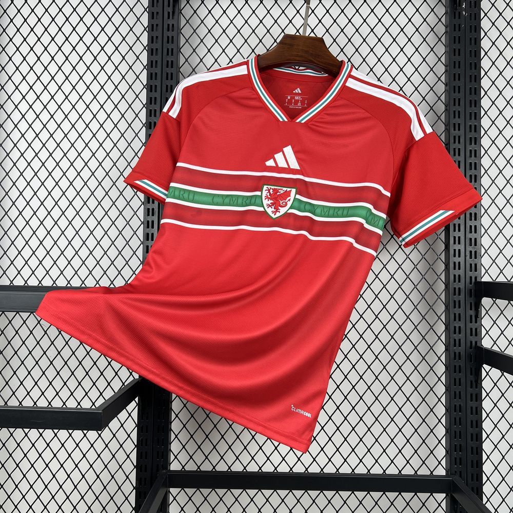 Wales 2026 - World Cup Home