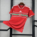 Wales 2026 - World Cup Home