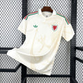 Wales 2026 - World Cup Away
